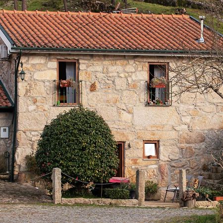 Casa Senhor Da Ponte Villa Mondim de Basto Eksteriør billede